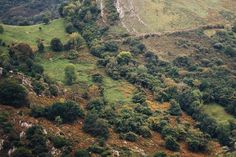 an aerial view of some green hills and trees