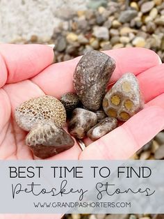 someone holding some rocks in their hand with the words best time to find pottsley stones