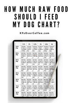 Pre-calculated raw dog food feeding chart. How Much Fresh Food To Feed Dog, Raw Fed Dogs Diet, Raw Meat Diet For Dogs, Feeding Raw For Dogs, Raw Diet For Dogs Beginner, Feeding Puppy, Picky Eaters Recipes, How Much Raw Food To Feed Dog, Dog Chart