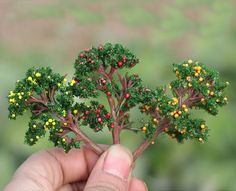 a hand holding a tiny tree with yellow and red berries