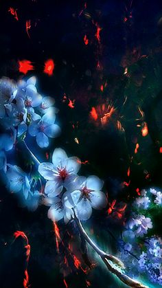 some white flowers are in the dark with red and blue light coming from behind them