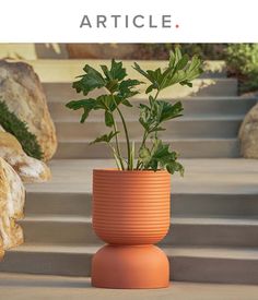 a potted plant sitting on top of a set of steps with the words article above it