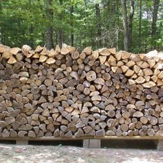 a large pile of logs sitting in the woods