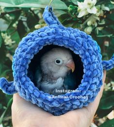 a small bird is sitting in a blue crochet potted with its head out