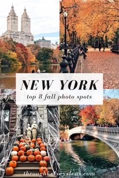 new york's top 8 fall photo spots with pumpkins in the foreground