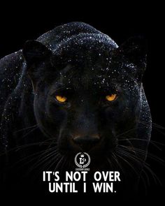 a black panther with yellow eyes and the words it's not over until i win