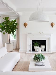 a living room with white furniture and a plant on the coffee table in front of the fireplace