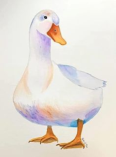 a watercolor painting of a white duck