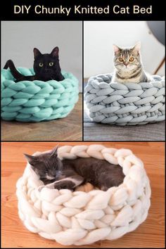 three different types of cat beds with cats laying in them and one is made out of yarn