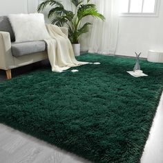 a living room with a couch, chair and green rug on the floor in front of a window