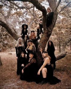 a group of women sitting on top of a tree