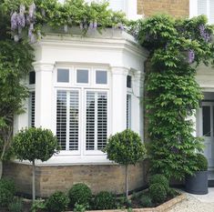 a house with white shutters and flowers growing on the side of it's windows