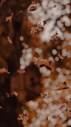 the leaves are flying in the air next to a birdhouse