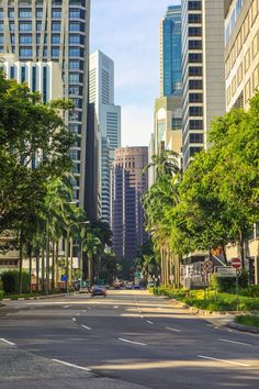 an empty city street with tall buildings in the back ground and palm trees on both sides