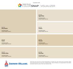 the colorsnap visualizer is available for all types of paint and wall finishes