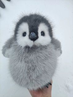 a hand holding a small stuffed animal penguin