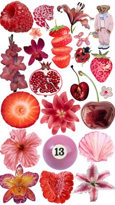 an assortment of flowers and fruit are arranged on a white background with the number thirteen