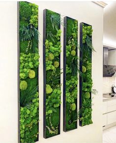 three panels with green plants on them in a kitchen