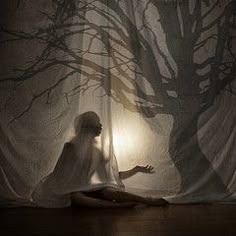 a woman sitting on the floor in front of a tree with its shadow projected over it