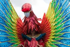 a woman dressed in colorful feathers and headdress