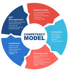 the competency model is shown in this graphic