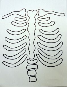 a drawing of the ribcage is shown on a piece of paper with scissors