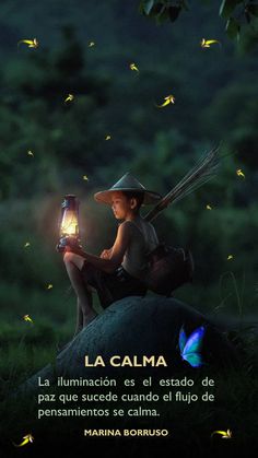 a little boy sitting on top of a rock holding a lantern in his hand with butterflies flying around