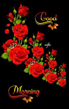 some red roses on a black background with the words good morning