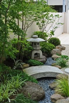 a small garden with rocks and plants