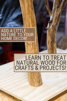 a wooden table topped with two trees and a sign that says learn to treat natural wood for crafts & projects