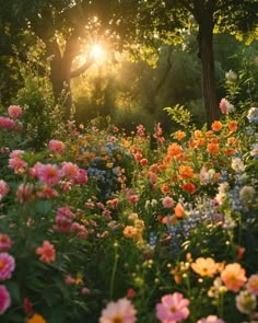 the sun shines through the trees and flowers in this garden filled with wildflowers