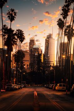 a city street with palm trees and tall buildings in the background at sunset or dawn