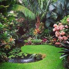 a lush green garden with lots of flowers and plants in the center, surrounded by palm trees