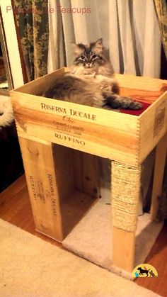 a cat sitting in a wooden crate on the floor