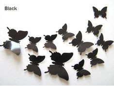 a bunch of butterflies that are on the wall