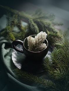 a cup filled with white flowers sitting on top of a table next to pine branches