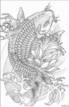 a drawing of a koi fish in the water