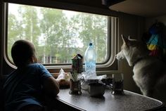 a man sitting at a table next to a husky dog looking out the window in front of him