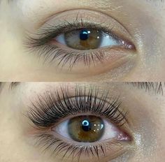 Lash Tint And Lift, Types Of Eyelash Extensions, Keratin Lash Lift, Semi Permanent Lashes, Long Lashes Mascara, Evening Eye Makeup, Grow Lashes