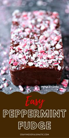 easy peppermint fudge brownie recipe with text overlay that reads easy peppermint fudge