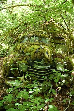 an old car covered in moss sits in the woods surrounded by trees and plants with lots of greenery growing on it