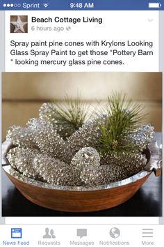 a potted plant sitting on top of a wooden table next to an email message