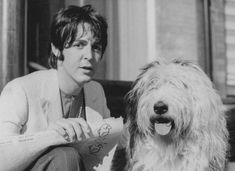 a woman sitting next to a shaggy dog