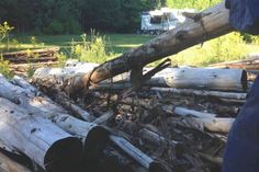 a pile of logs sitting in the middle of a forest