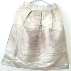 This Listing Is For An Nwt Tulip Shaped, Shiny Metallic Silver/Gold Cocktail Skirt. All Of My Items Come From A Smoke-Free Home But I Will Mention That I Do Have Pets. Brand: Simply Styled Size: Lp Color: Metallic Silver/Gold Material: Poly Blend 15.5" Waist Across Front From Side To Side, Laying Flat 22" From Waist To Hem, Knee Length - Depending On Your Height Pockets On Each Side Hot Pink Pencil Skirt, Cocktail Skirt, Cocktail Skirts, Asymmetrical Midi Skirt, Silver Skirt, Pink Pencil Skirt, Gold Skirt, Jacquard Skirt, Lace Pencil Skirt