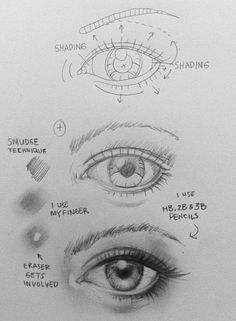 an eye diagram with all the parts labeled