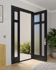 an open door leading into a room with a potted plant in the corner and glass panels on the doors