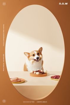 a dog is sitting on a table with food in front of him and looking at the camera