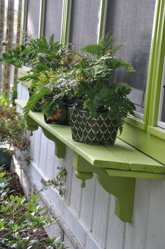 some plants that are sitting on a window sill in front of a house with green trim