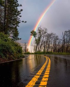 a rainbow appears in the sky over a wet road with trees on both sides and yellow lines painted on the side